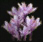 001_0.jpg 001_0.jpg