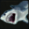 アオザメ.png アオザメ.png