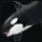 シャチ.png シャチ.png