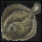 ヒラメ.png ヒラメ.png