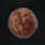 ぶつぶつした種.png ぶつぶつした種.png