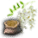 アカシアの種_0.png アカシアの種_0.png