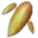 アローキノコの菌糸.png アローキノコの菌糸.png