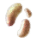 エンシェントキノコの菌糸.png エンシェントキノコの菌糸.png