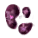 クロブドウタケ菌糸.png クロブドウタケ菌糸.png