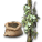コショウの種.png コショウの種.png