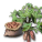 サツマイモの種.png サツマイモの種.png