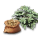 ジャガイモの種.png ジャガイモの種.png