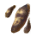 ソンアリタケ菌糸.png ソンアリタケ菌糸.png