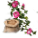 デロティアの種.png デロティアの種.png