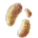 バンプキノコの菌糸.png バンプキノコの菌糸.png