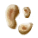 パイタケ菌糸.png パイタケ菌糸.png
