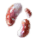 ヒュージキノコの菌糸.png ヒュージキノコの菌糸.png