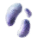 ミストキノコの菌糸.png ミストキノコの菌糸.png