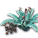 火炎鱗の花の種.png 火炎鱗の花の種.png